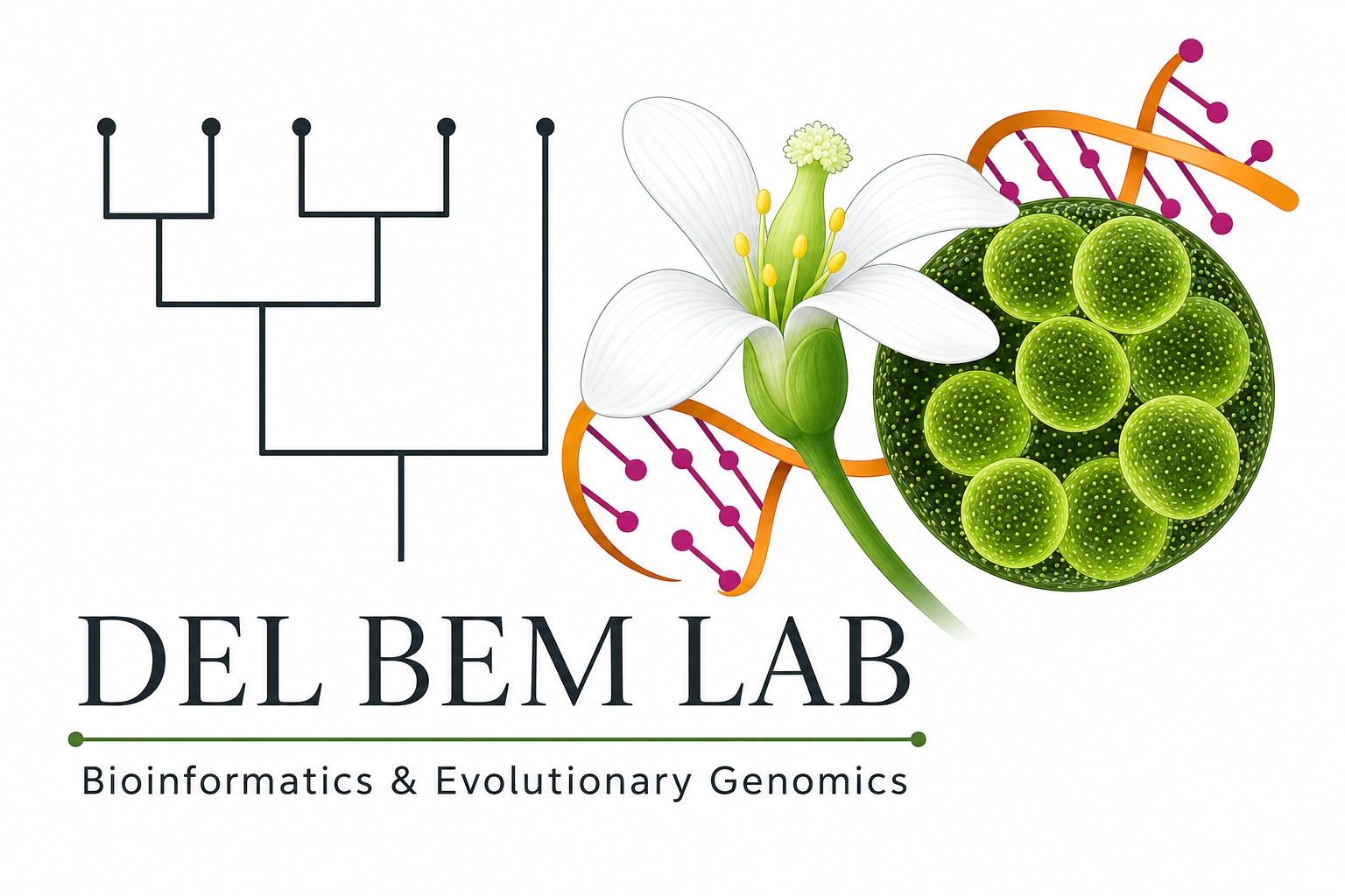 Del Bem Lab